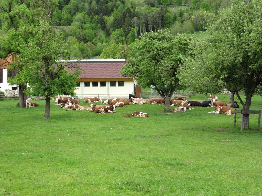 Donisbauerhof Lejlighed Lieserbrücke Eksteriør billede